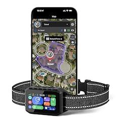 Rainleoti GPS Wireless Dog Fence System