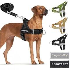 SlowTon No Pull Dog Harness and Leash Set