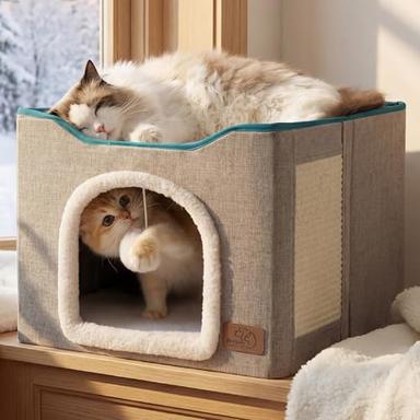 cat cave