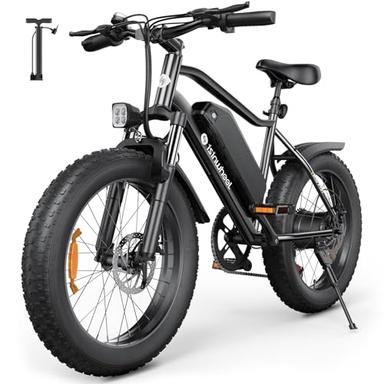 electric bike adult