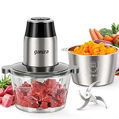 Ganiza Electric Food Processor with Grinder