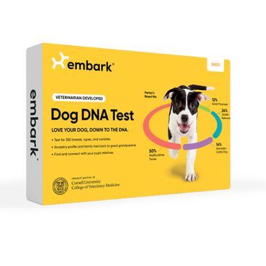 dog dna test