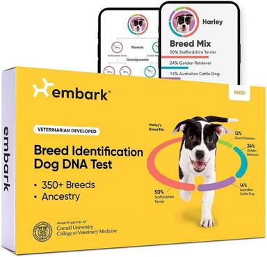 Pet DNA Tests