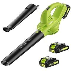 JAGROM Cordless Leaf Blower with 2 Batteries