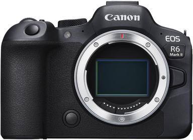 mirrorless cameras