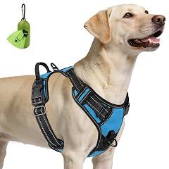 Joytale Sky Blue Dog Harness, Large