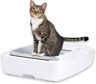 pet safe litter box