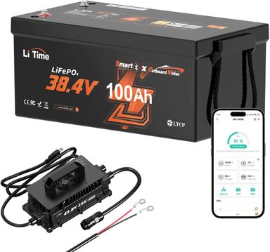 lithium iron phosphate battery