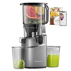 AMZCHEF Juicer Machines Cold Press Juicer Grey