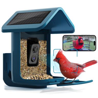 bird camera