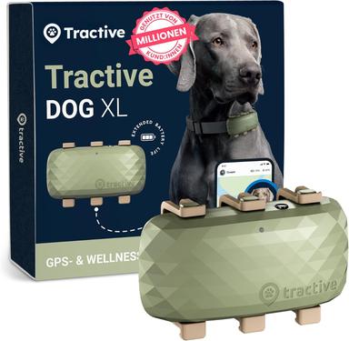 Dog GPS Tracker