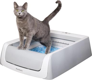 self-cleaning kitty litter box